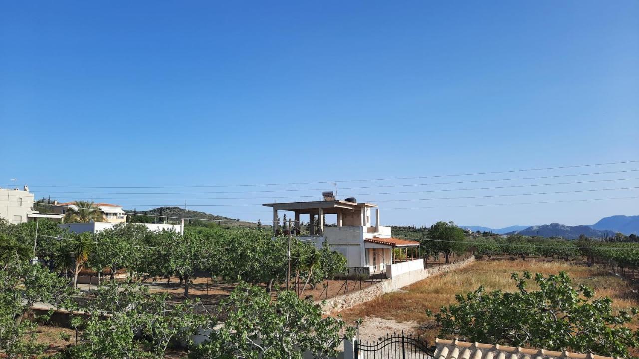 Mosxonas House Appartement Aegina Buitenkant foto